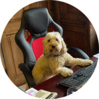 afp-profile-tilly afp profile tilly